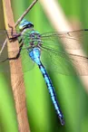 Exposition "Concours photos des Pôles nature"