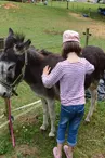 Mini-farm discovery
