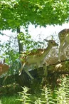 Parc à daims
