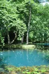 Les Fontaines Bleues - Park and Garden of the Castle of Beaulon