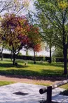 Bellevue Municipal Campsite