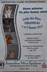 Affiche Exposition Féline Intenationale