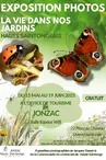 affiche expo ot jonzac juin 23